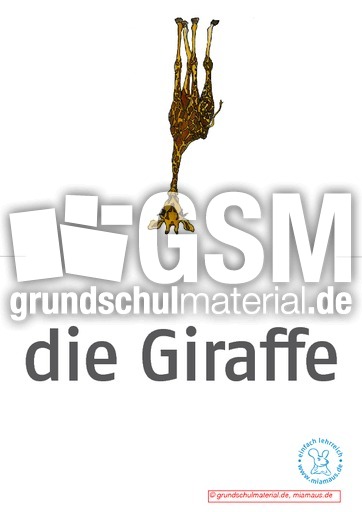 Bildkarten_d_Zootiere 5.pdf